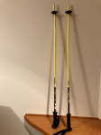 Smučarske palice Fischer 90 cm