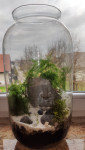 Okrasna vaza z rastlinami