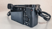 Sony A6100 + Sony 18-135mm
