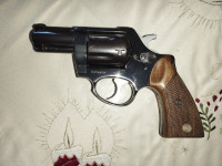 Magnum 357 9mm