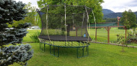 Springree trampoline oval 2.5 x 4 m
