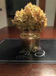 Vaza prekrita z zlatimi lističi