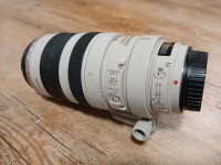 Canon objektiv EF 100-400 f/4.5-5.6 L IS USM