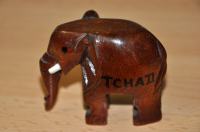 Slon iz Afrike