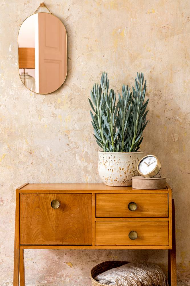 Vintage omarica z modernim lončkom za rože in ogledalom na steni.