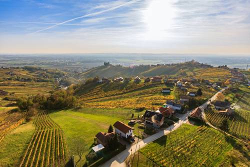 Pogled na Lendavske Gorice in vinograde je tudi mamljiv in nekaterim pomeni luksuz.