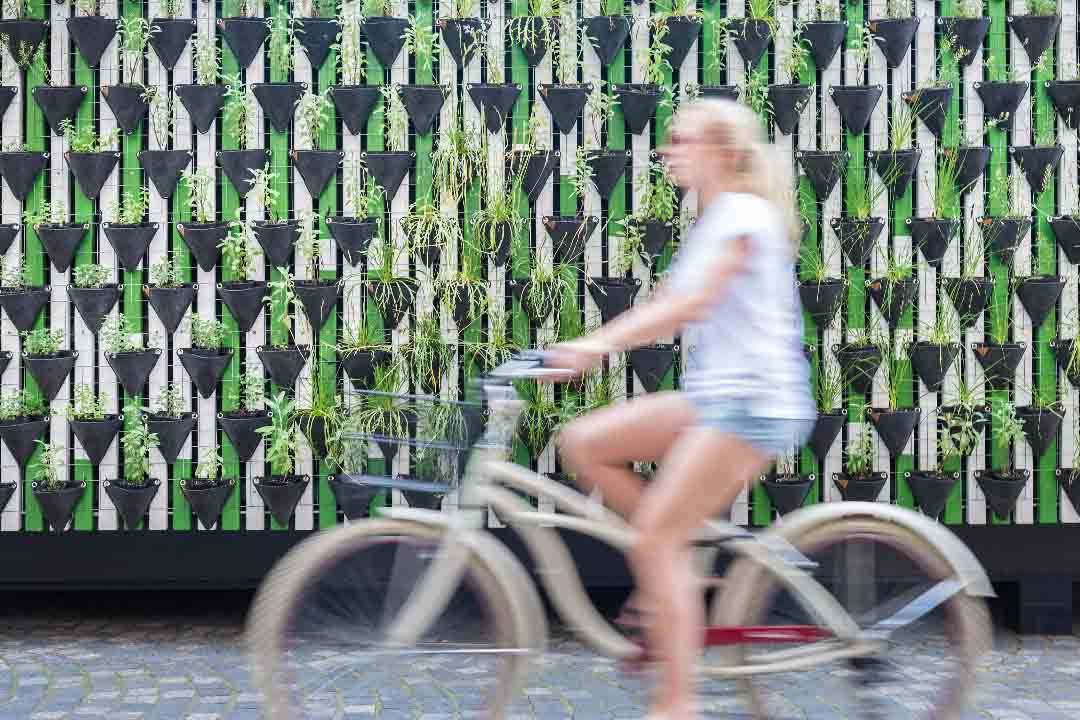 Strogi center Ljubljane je tako majhen, da ga z lahkoto prevozite s kolesom.