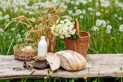 Zajtrk na turistični kmetiji je nekaj posebnega in vključuje domača jajca, sveže pečen kruh in mleko.