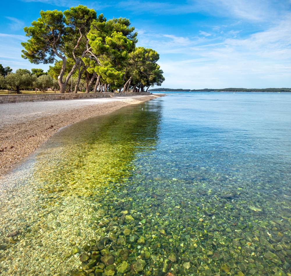 Čudovita plaža, kristalno čisto morje in borovci v Fažani pri Pulju