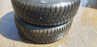 GUME Viking 185/65/14
