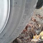 17-col, rabljene celoletne pnevmatike, 225/55