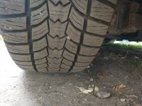 gume Pnevmatike Sava 225/50/17 2x 5mm+ 2x 6.8mm+ 2018 2020