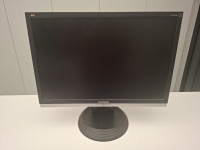 Monitor ViewSonic WA1916w 19" (48,3 CM)