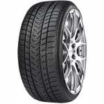 Gripmax PRO WINTER XL 285/30 R21 100V