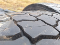 Pnevmatike BF Goodrich 295/60/22.5 celoletna Količina: 4