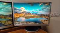 Monitor Samsung SyncMaster 225BW