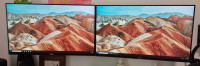 2x Monitor DELL P2319H