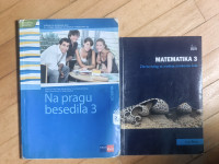 Matematika 3, Na pragu besedila 3