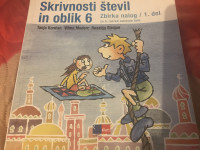 Zbirka nalog SKRIVNOSTI ŠTEVIL IN OBLIK 6, 1.del