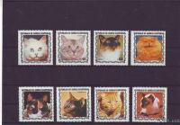 Afrika, GVINEJA, EKVATOR. -MAČKE - komplet čiste - (msmk)