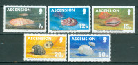 Ascension 19983 morska fauna školjke serija MNH**