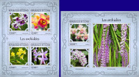 GVINEJA 2017 ORHIDEJE FLORA RASTLINE Mi 12161/64+B2728 ** MP+blok (36)