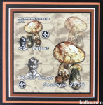 MOZAMBIK 2002 GOBE SKAVTI FLORA * Mi 2468 * blok nezobč (SKLA-1)