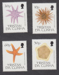 Tristan da Cunha - morske zvezde
