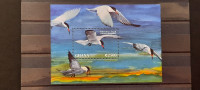 vodne ptice - Gana 1995 - Mi B 274 - blok, čist (Rafl01)
