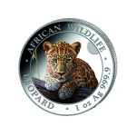 LEOPARD BARVNI SOMALIJA 2025