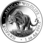 LEOPARD SOMALIJA 2023 OZ