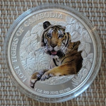 LOST TIGER BARVNI COLOURED PREDATORS  of CAMBODIA 2023