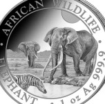 SLON SOMALIJA  AFRICAN WILDLIFE 2026 NOVO