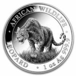 Somalia srebrnik 1 oz African Wildlife Leopard 2023 (trezor)
