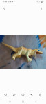 Igra dinozaver