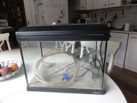 Znižano! PODARIM RASTLINE KUPCU AKVARIJA KPL. prodam za 30e  041276112