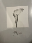 Foto album za 400 fotografij