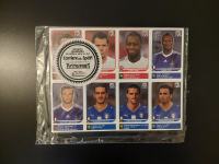 Panini World Cup 2010 South Africa Update Set