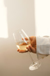 Chardonnay vrhunske kakovosti iz vinorodnega Podbočja
