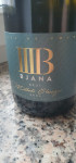 Peneče vino Brut