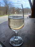 Vino Rumeni plavec