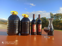 VINO TERAN - DOSTAVA PO SLOVENIJI