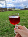 Vino jurka 2025