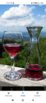 vino cviček vinorodni okoliš PLETERJE Tel:040851656