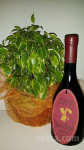Vrhunsko vino TERRA ROSSA, serija 1, Čotar l.95