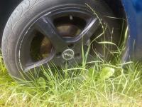 fiat feltna 16 col 4x alu platišče felga platišče