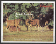 GRENADA GRENADINES 1993 INDOPEX ŽIVALI ** Mi 1762 (B282) ** blok (30)