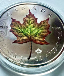 1 oz SREBRNIK 2021 Maple Leaf barvni Canada javorjev list (otaku)