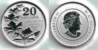 Kanada 20 Dolarjev 2011  srebrnik