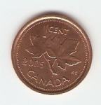 KOVANEC  1 cent 2003,05,06  Kanada
